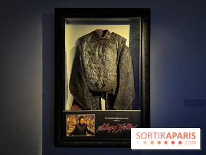 Exposition Les Magiciens du Cinéma - IMG 1549