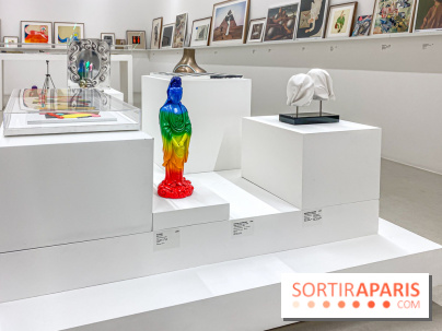 Exposition Perrotin Editions : Tous Collectionneurs ! à la galerie Perrotin - IMG 4269