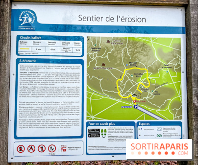 Le sentier de l'érosion à Fontainebleau - balade en forêt