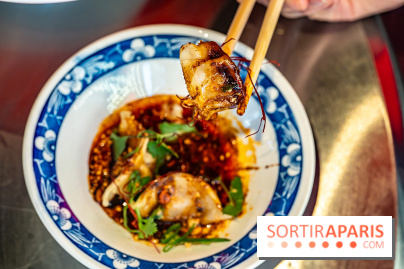 Nouilles Ban Ban restaurant - raviolis