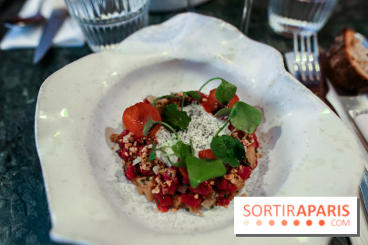 Calice à Paris, nos photos - IMG 2475