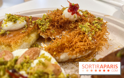 Maison Hallab - nos photos - image00013