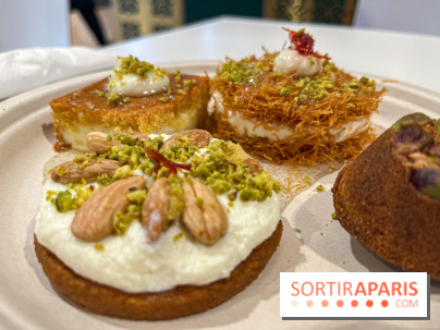 Maison Hallab - nos photos - image00015