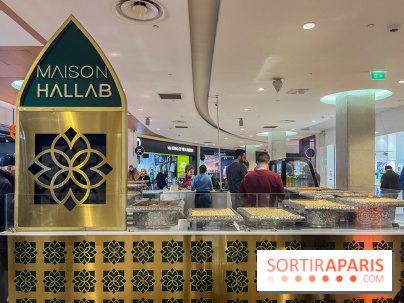 Maison Hallab - nos photos - image00004