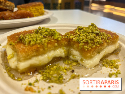 Maison Hallab - nos photos - image00009