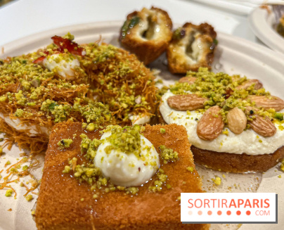 Maison Hallab - nos photos - image00011