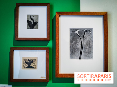 Tina Modotti : l'exposition photo rétrospective au Jeu de Paume - nos photos