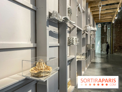 Toucher l'insensé, l'exposition collective au Palais de Tokyo - IMG 4566