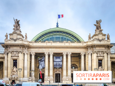 Visuel Paris 8e - Grand Palais