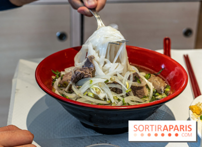 New Hao Khoan, le restaurant chinois et vietnamien, valeur sûre du 13e - Pho