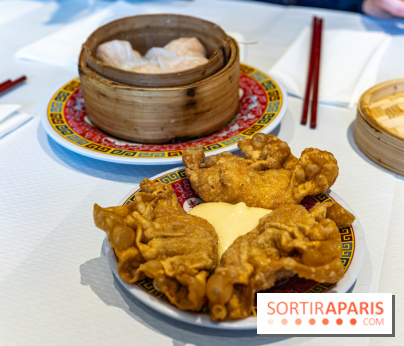 New Hao Khoan, le restaurant chinois et vietnamien, valeur sûre du 13e - raviolis frits