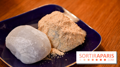 Zakuro, le restaurant authentique pour une cuisine japonaise réconfortante à Paris - DSC 0481