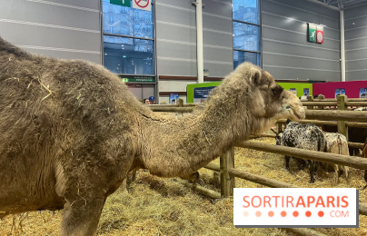 Salon de l'agriculture 2024 - image00004