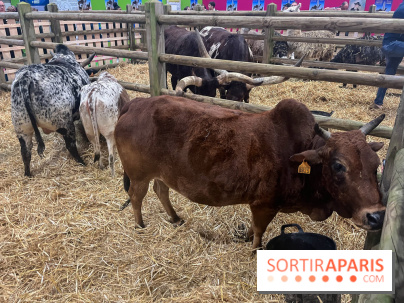 Salon de l'agriculture 2024 - image00002