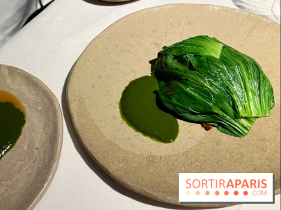 Datil - Autour du pakchoï