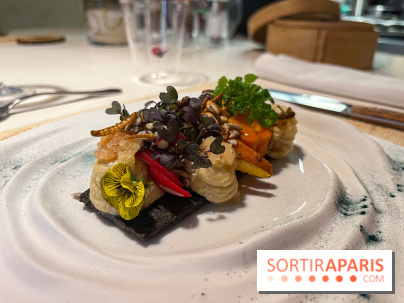 Inoveat, le restaurant gastronomique d'insectes à Paris - nos photos - image00017