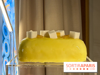 Les Bûches et créations de Noël et Fêtes de Pierre Hermé 2024, coup de cœur