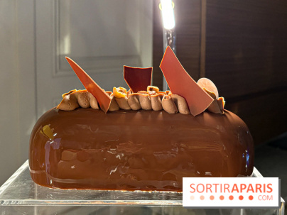 Les Bûches et créations de Noël et Fêtes de Pierre Hermé 2024, coup de cœur