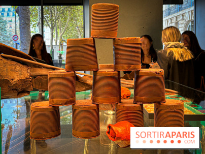 La Buche et les chocolats de Noël 2024 du MOF Patrick Roger