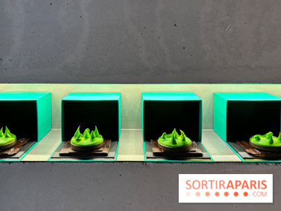 La Buche et les chocolats de Noël 2024 du MOF Patrick Roger