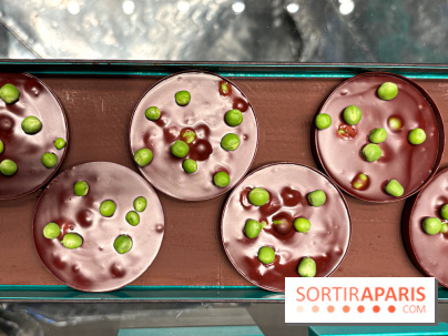 La Buche et les chocolats de Noël 2024 du MOF Patrick Roger