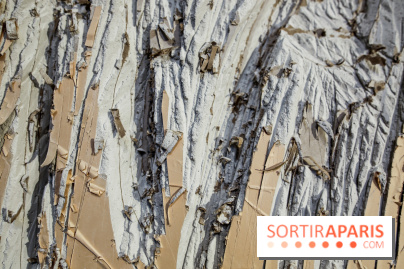 Suivre les ondes, nos photos de l'expo à l'Institut suédois - IMG 3002