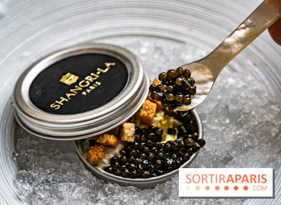 Le brunch marin de folie du Shangri-La Paris -  A7C7877