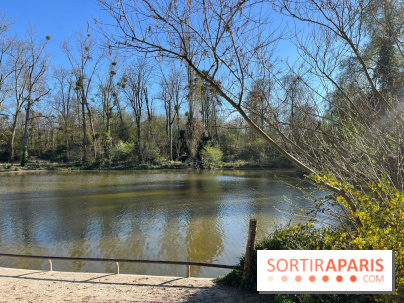 Lac de Saint-Mandé - nos photos - WhatsApp Image 2024 03 22 à 16.12.09 927d444d