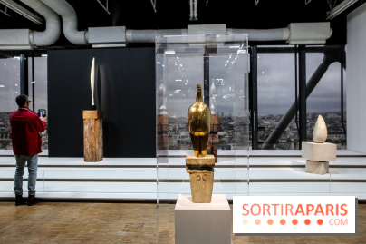 Brancusi au Centre Pompidou, nos photos