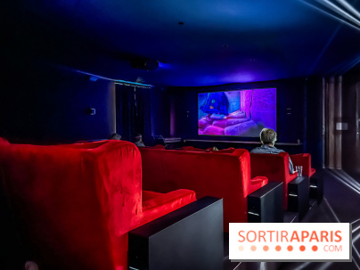 Le brunch exceptionnel du Château de Villiers-le-Mahieu dans les Yvelines avec animations - IMG 7771