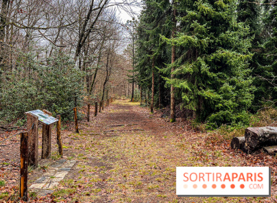 Arbor&Sens, l'Arboretum de Franchard en forêt de Fontainebleau - les photos - IMG 7940