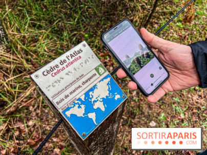 Arbor&Sens, l'Arboretum de Franchard en forêt de Fontainebleau - les photos
