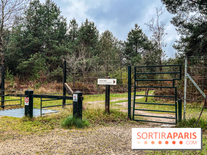 Arbor&Sens, l'Arboretum de Franchard en forêt de Fontainebleau - les photos
