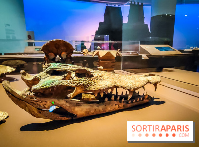 Mexica, des dons et des dieux au Templo Major : l'exposition du musée du Quai Branly se dévoile - IMG20240402105318