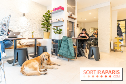 Seven Heaven, le coffee shop dog's friendly et kid's friendly de Paris 11e - A7C0496
