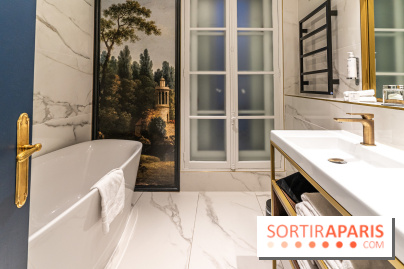 L'Aigle Noir Hôtel à Fontainebleau -  A7C9753