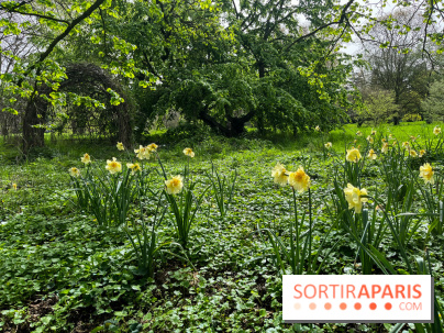 Arboretum de Paris - nos photos - image00029