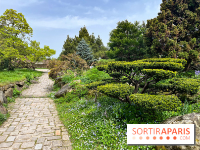 Jardin de l'Ecole du Breuil - nos photos - image00017