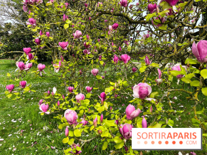 Jardin de l'Ecole du Breuil - nos photos - image00014