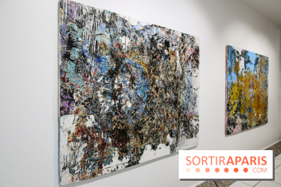 Exposition d'art contemporain à la Galleria Continua, nos photos - IMG 3612