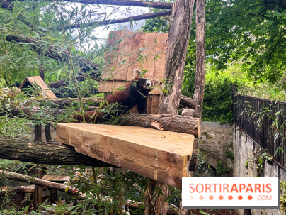 Ménagerie du Jardin des Plantes 2024 - nos photos - image00003