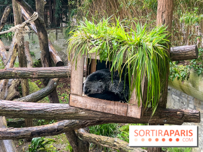 Ménagerie du Jardin des Plantes 2024 - nos photos