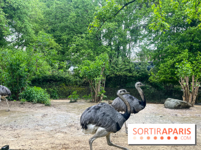 Ménagerie du Jardin des Plantes 2024 - nos photos