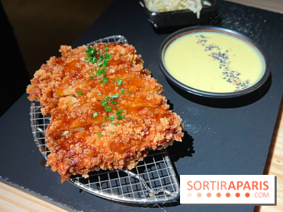 Marie Akaneya - Tonkatsu