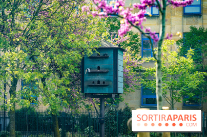 Parc de Choisy - Paris 13e - A7C1206