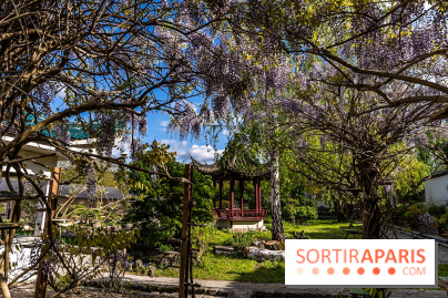 Jardin Yili, le jardin chinois caché dans les Yvelines -  A7C2202