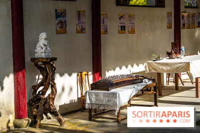 Jardin Yili, le jardin chinois caché dans les Yvelines -  A7C2229