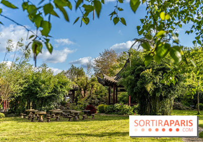 Jardin Yili, le jardin chinois caché dans les Yvelines - A7C2266