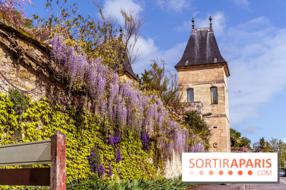 Village de Medan dans les Yvelines -  château de Medan - glycine