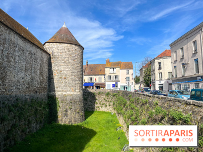 Château de Dourdan - nos photos - image00039